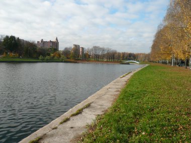 Şehir park su birikintisi