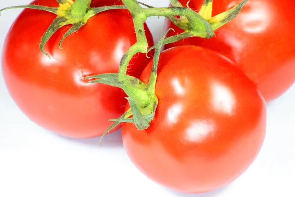 stock image Red tomato