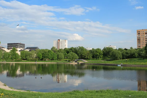 Summer in city park — Stock Photo, Image