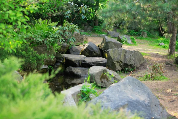 Japonia ogród — Zdjęcie stockowe