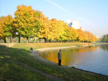 Şehir parkında sonbahar