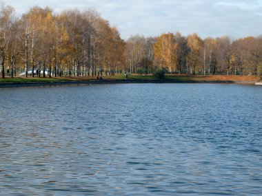 Şehir parkında sonbahar