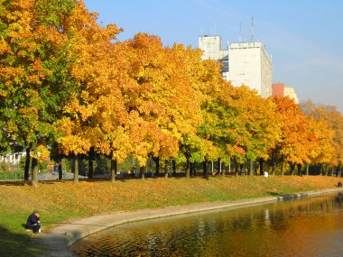 Şehir parkında sonbahar