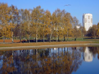 Sonbaharda altın park