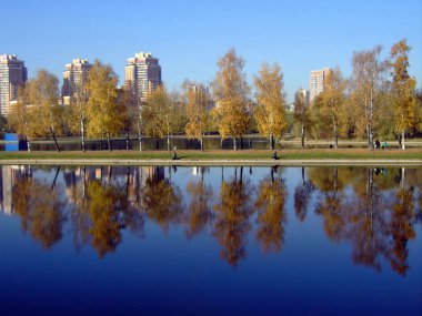 Sonbaharda altın park