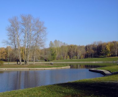 Sonbaharda altın park