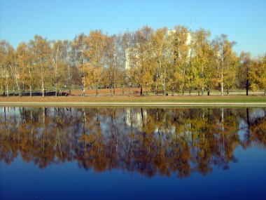 Sonbaharda altın park