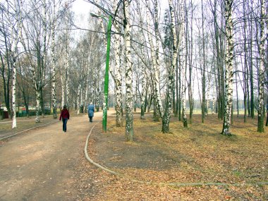 Şehir parkında bahar