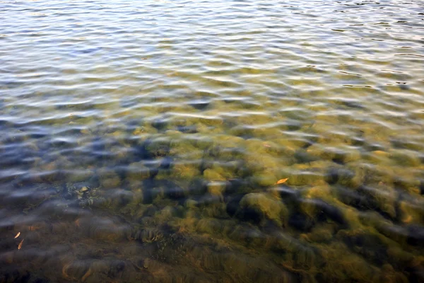 Рябь на воде — стоковое фото