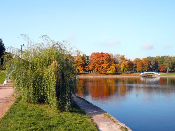 Městský park ve zlatém podzimu — Stock fotografie