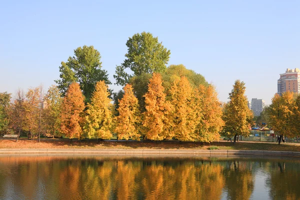 Park miejski w złocie jesień — Zdjęcie stockowe