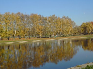 Sonbaharda altın park