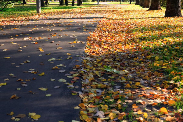 Road in autumn, september, daily time, park