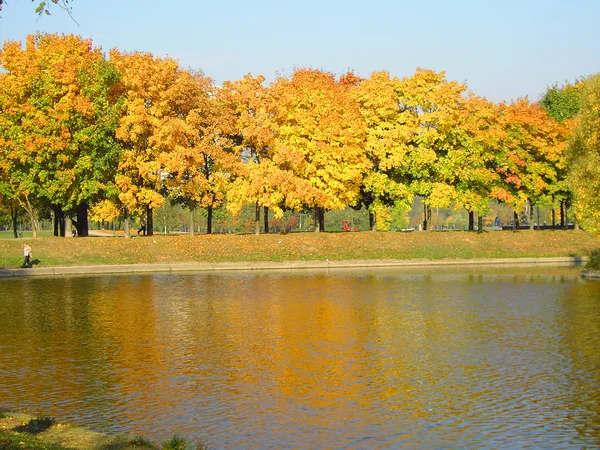 Podzim v městském parku — Stock fotografie
