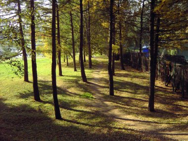 Şehir Park yolu