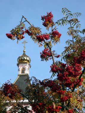 eski ahşap Tapınağı bogorodskiy ve asberry