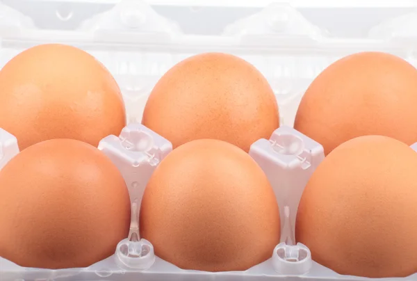 stock image Chicken egg in plastic case