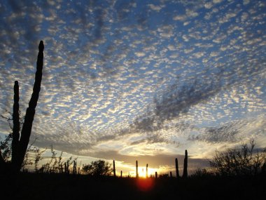 Fluffy clouds clipart