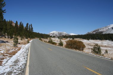 Empty road Yosemite