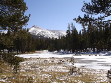 donmuş nehir yosemite