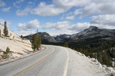 Boş yol yosemite Milli Parkı