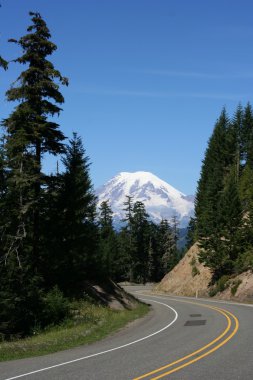 mount Rainier washington Eyaleti