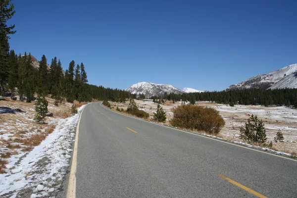 Empty road Yosemite — Stock Photo, Image