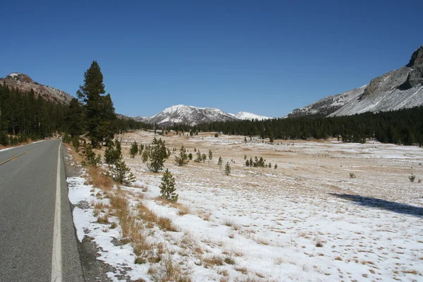 Snow lined road Yosemite — Stock Photo, Image