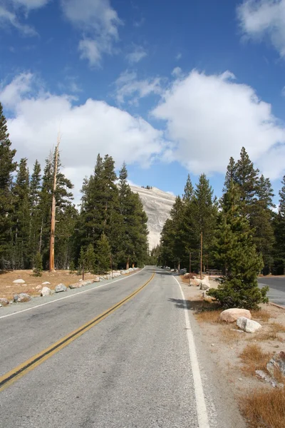 Empty road Yosemite — Stok fotoğraf