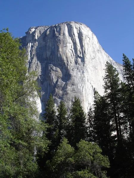 El Capitan Yosemite climbing wall — Stock Photo, Image