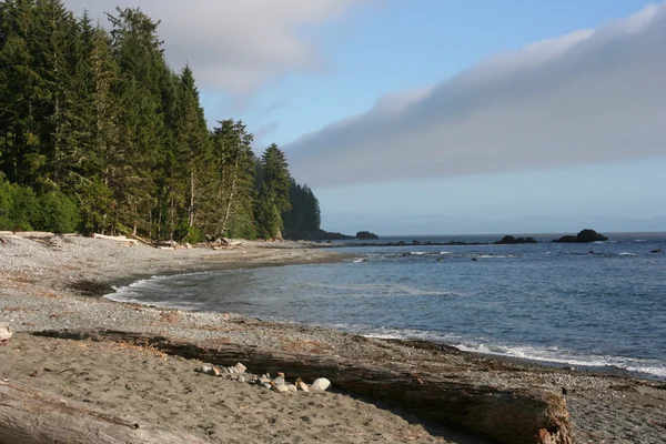 stock image Beach view Vancouver Island