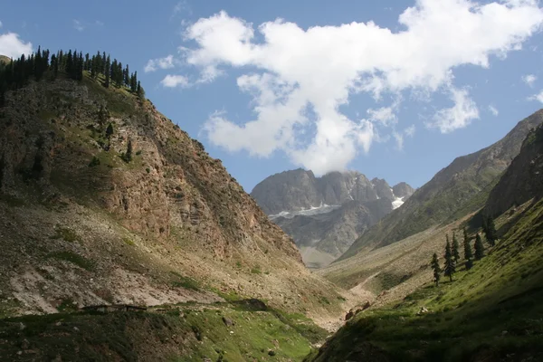 Vallée de montagne Pakistan — Photo