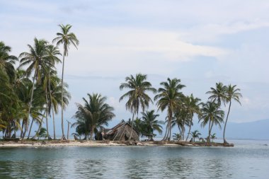 Tropical island lined with palm trees clipart