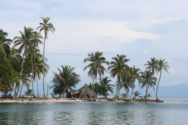 stock image Tropical island lined with palm trees