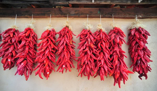 Red Chile Pimentas — Fotografia de Stock