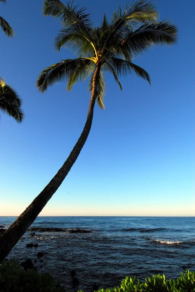 在黄昏的夏威夷. — 图库照片