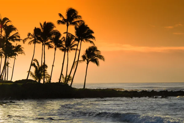 Гавайи на закате . Стоковое Изображение