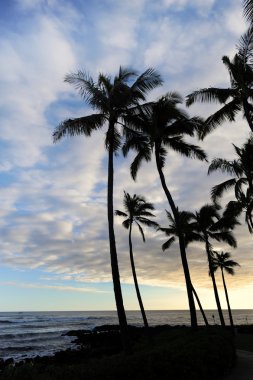 Hawaii alacakaranlıkta.