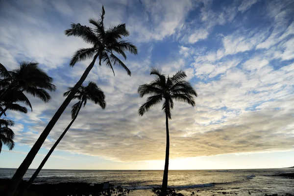 Hawaje — Zdjęcie stockowe