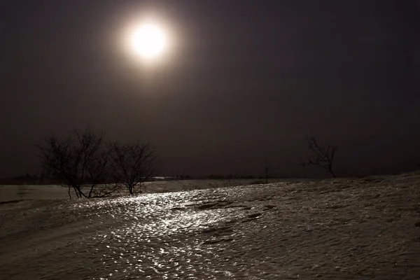 月夜 — 图库照片