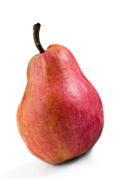 stock image Pear