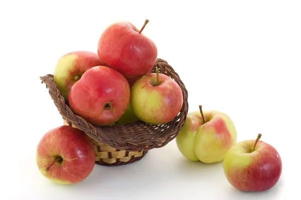 stock image Apples