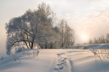 Winter morning clipart