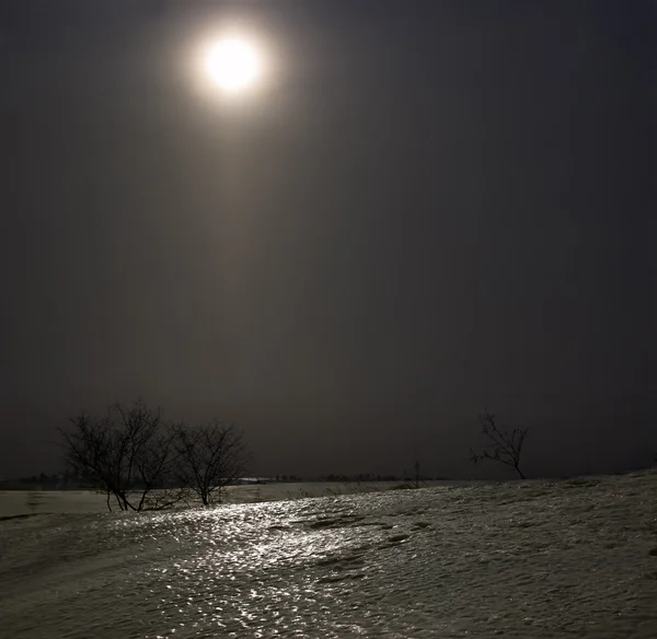 Moonlight gece — Stok fotoğraf