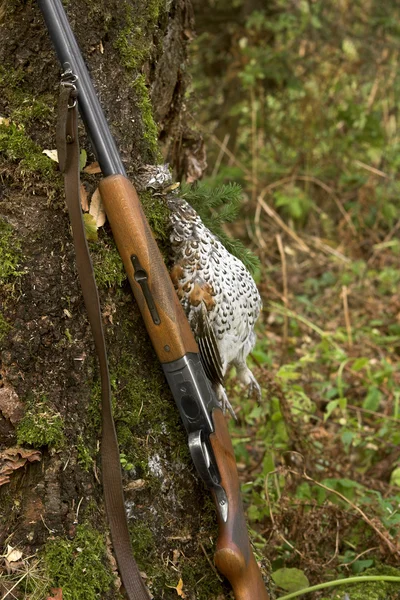 Gun and a bird — Stock Photo, Image