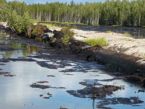 stock image Oil flood