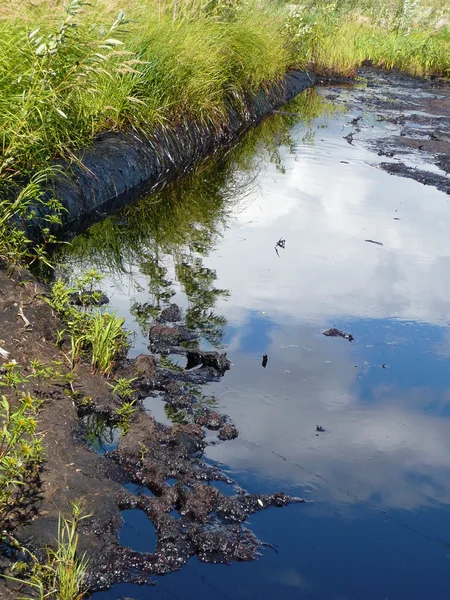 stock image Oil flood