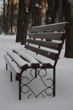 bir kış Parkı boş tezgah