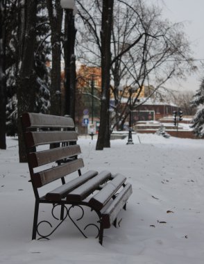 bir kış Parkı boş tezgah