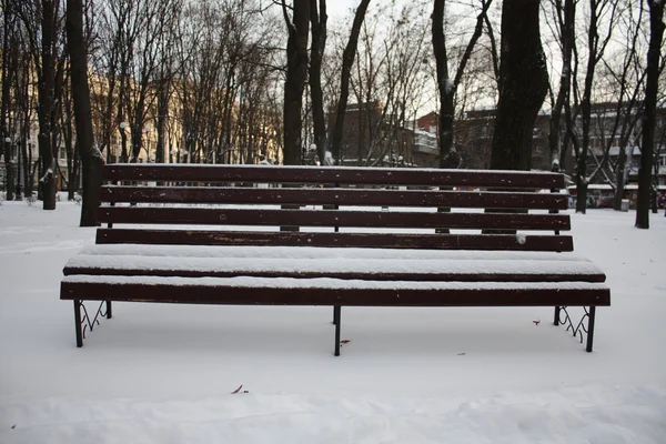 stock image Empty bench in a winter park